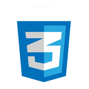 css 3 logo